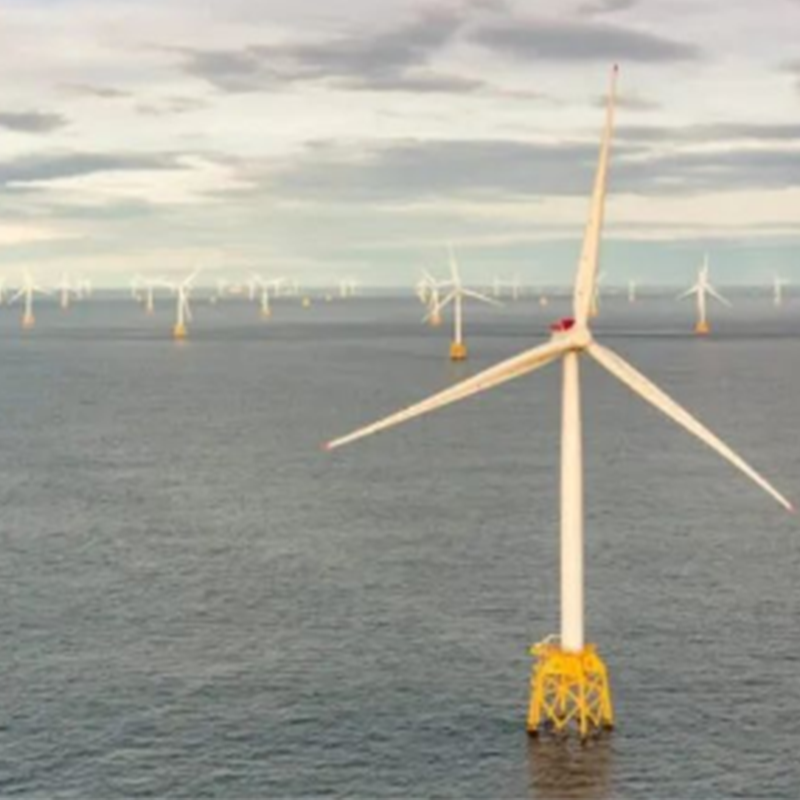 CIP werkt samen met de Mexicaanse autoriteiten aan groene waterstof- en scheepsbrandstofprojecten